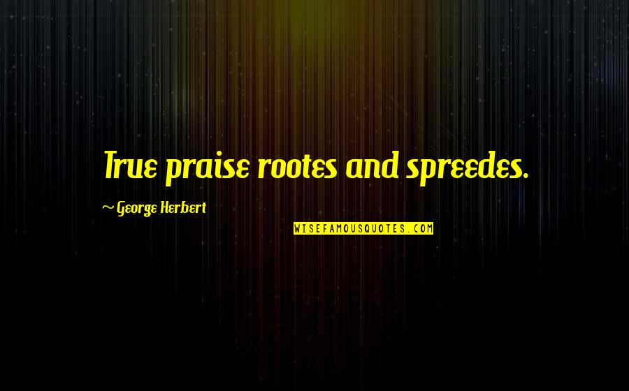 Noddy Quotes By George Herbert: True praise rootes and spreedes.