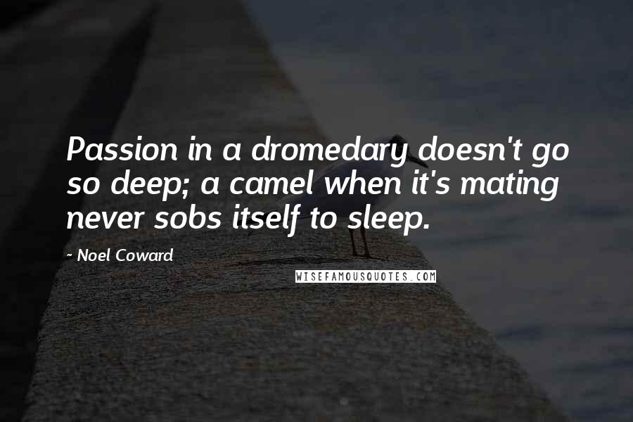 Noel Coward quotes: Passion in a dromedary doesn't go so deep; a camel when it's mating never sobs itself to sleep.