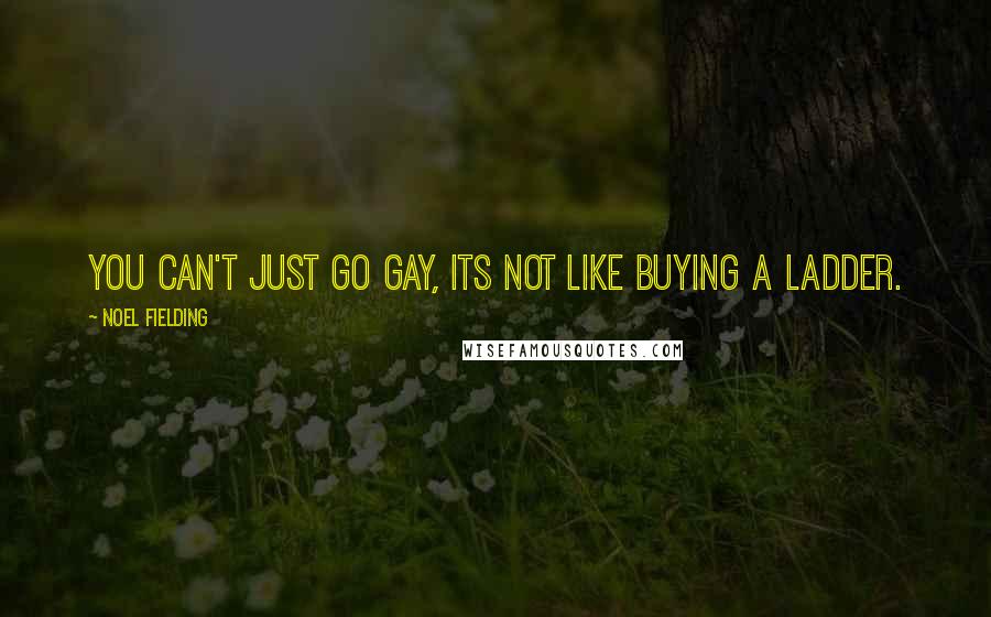 Noel Fielding quotes: You can't just go gay, its not like buying a ladder.