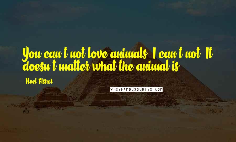 Noel Fisher quotes: You can't not love animals, I can't not. It doesn't matter what the animal is.