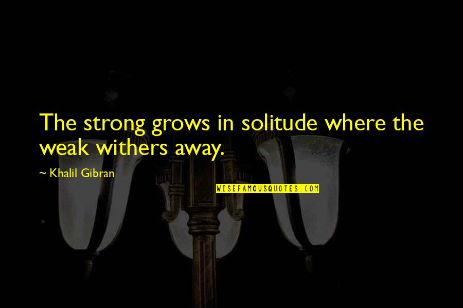 Noel Kahn Quotes By Khalil Gibran: The strong grows in solitude where the weak Noel Kahn Quotes By Khalil Gibran: The strong grows in solitude where the weak
