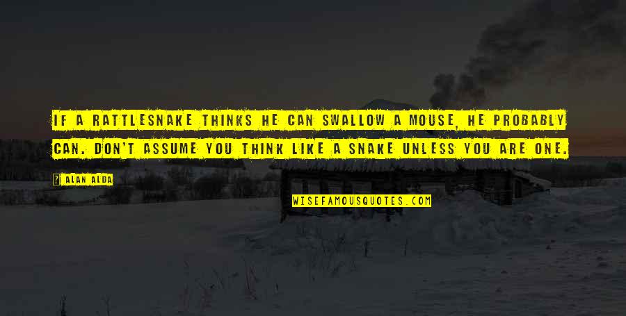 Noerstrum Quotes By Alan Alda: If a rattlesnake thinks he can swallow a