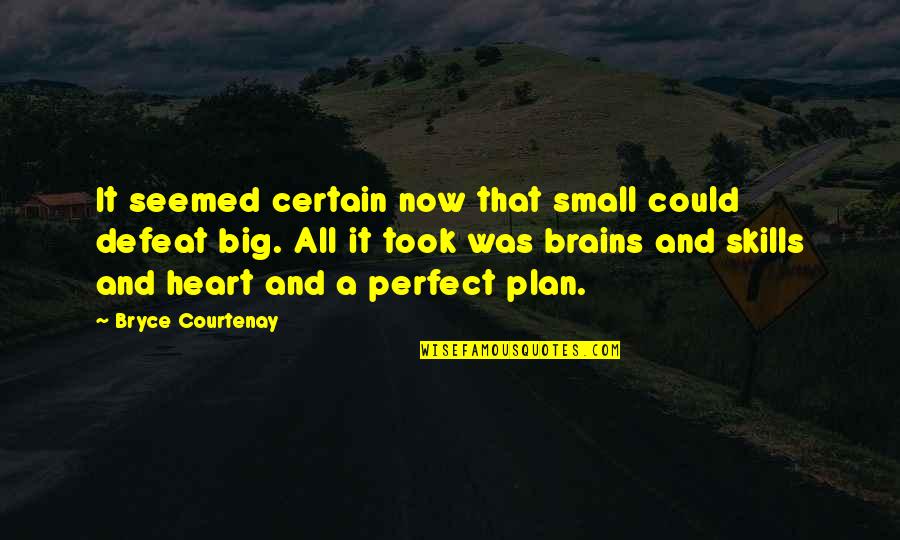 Noetic Alchemy Quotes By Bryce Courtenay: It seemed certain now that small could defeat