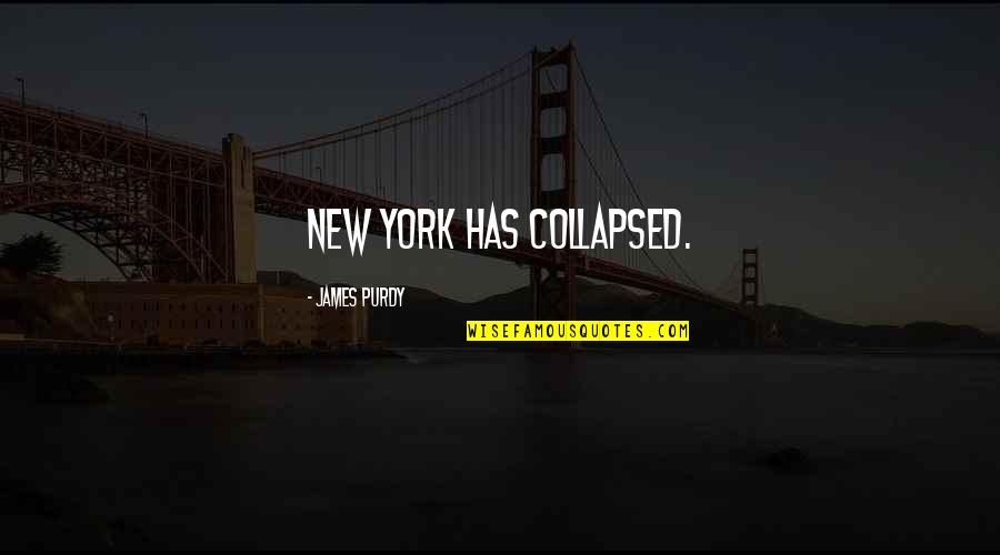 Nofsinger Quotes By James Purdy: New York has collapsed.