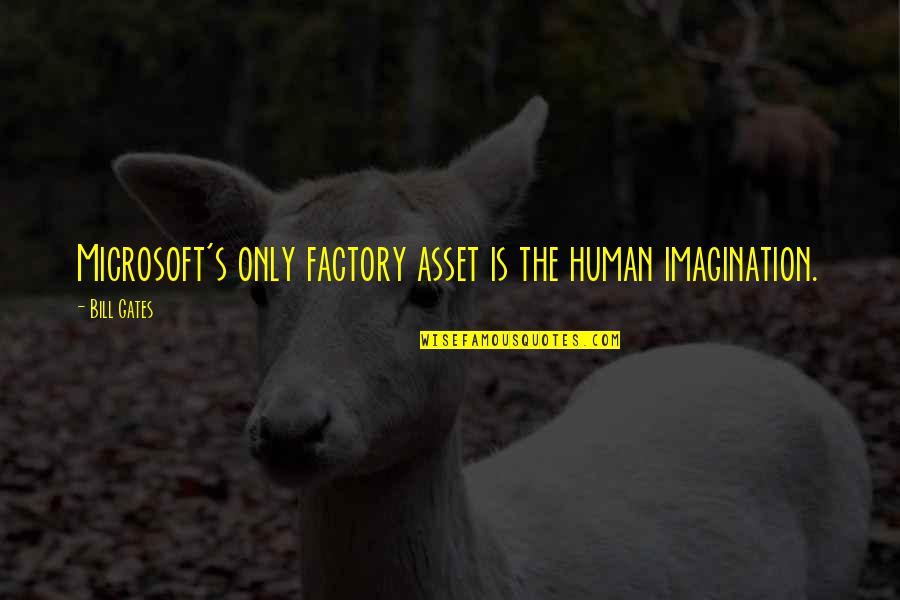 Noggins Quotes By Bill Gates: Microsoft's only factory asset is the human imagination.