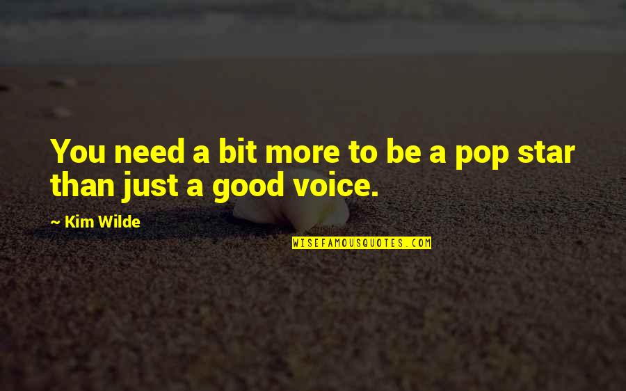 Noice Quotes By Kim Wilde: You need a bit more to be a