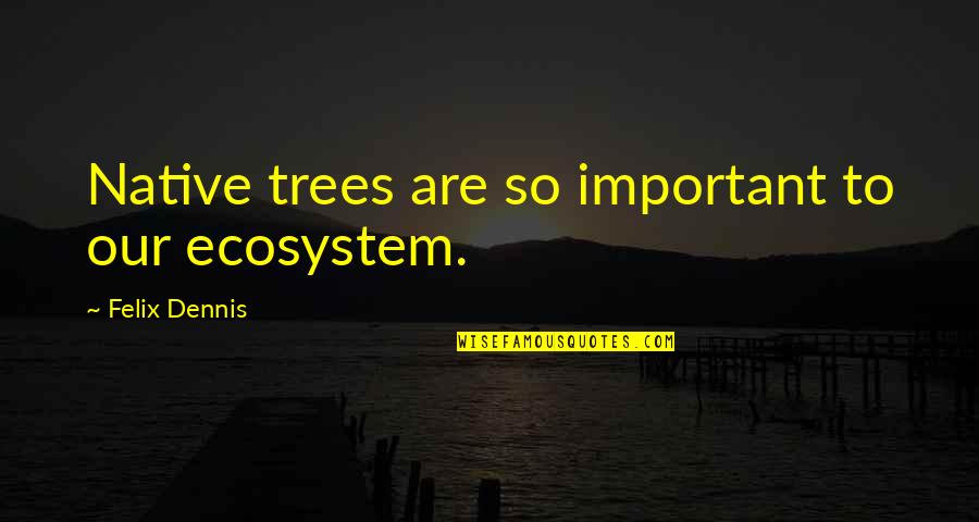 Noidatimes Quotes By Felix Dennis: Native trees are so important to our ecosystem. Noidatimes Quotes By Felix Dennis: Native trees are so important to our ecosystem.
