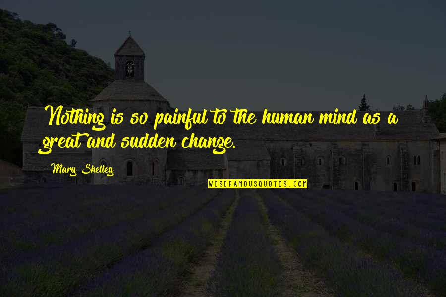 Noiosa Quotes By Mary Shelley: Nothing is so painful to the human mind