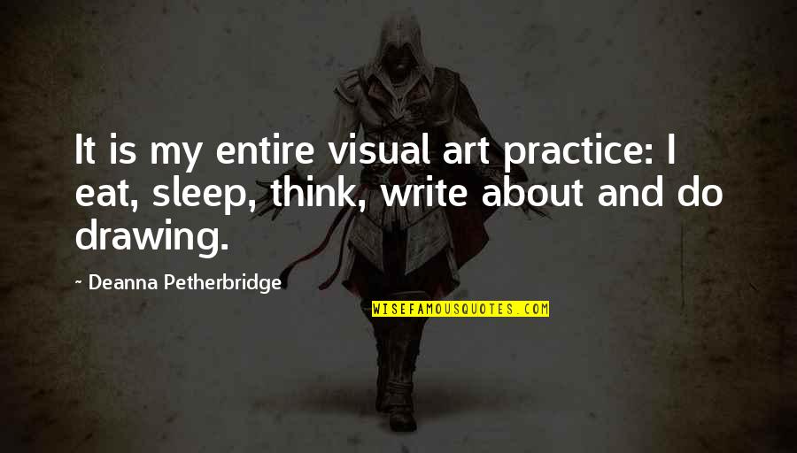 Noiseless Quotes By Deanna Petherbridge: It is my entire visual art practice: I