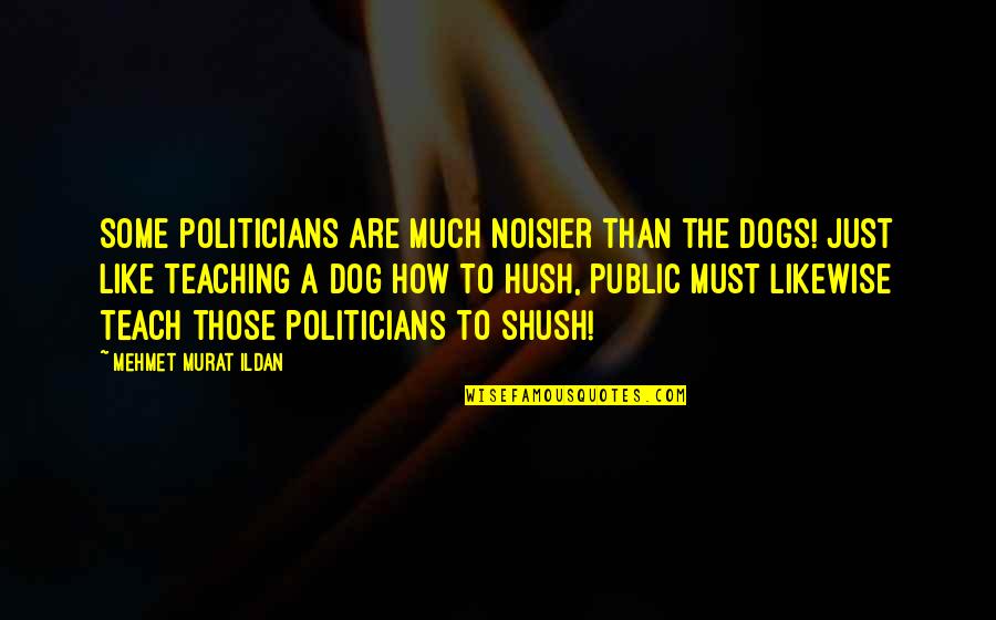 Noisier Quotes By Mehmet Murat Ildan: Some politicians are much noisier than the dogs!