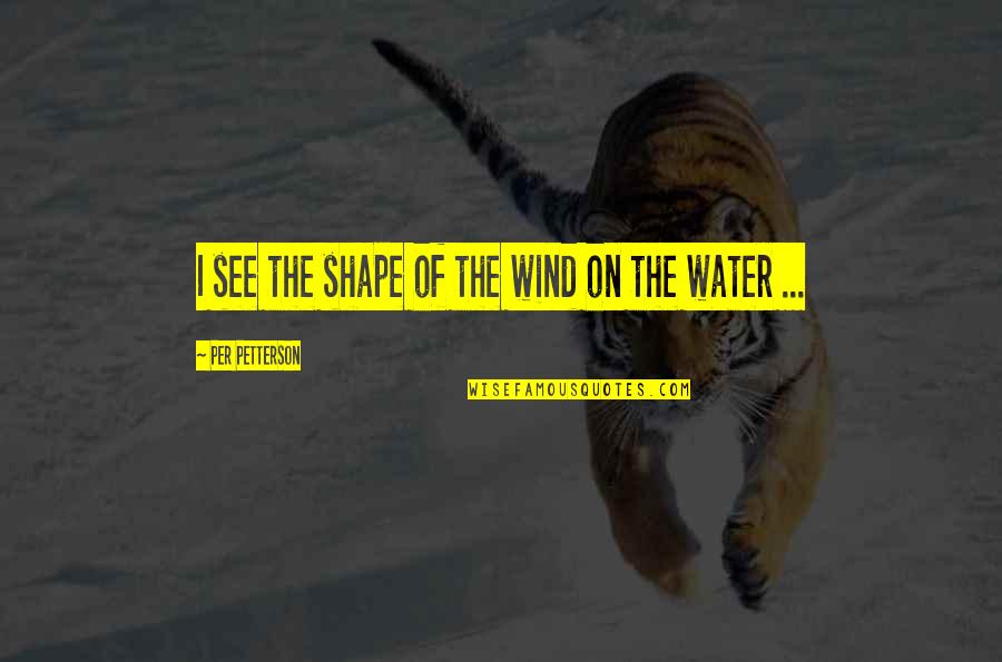 Noisiness Quotes By Per Petterson: I see the shape of the wind on