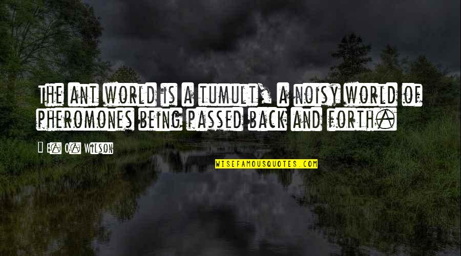 Noisy Quotes By E. O. Wilson: The ant world is a tumult, a noisy