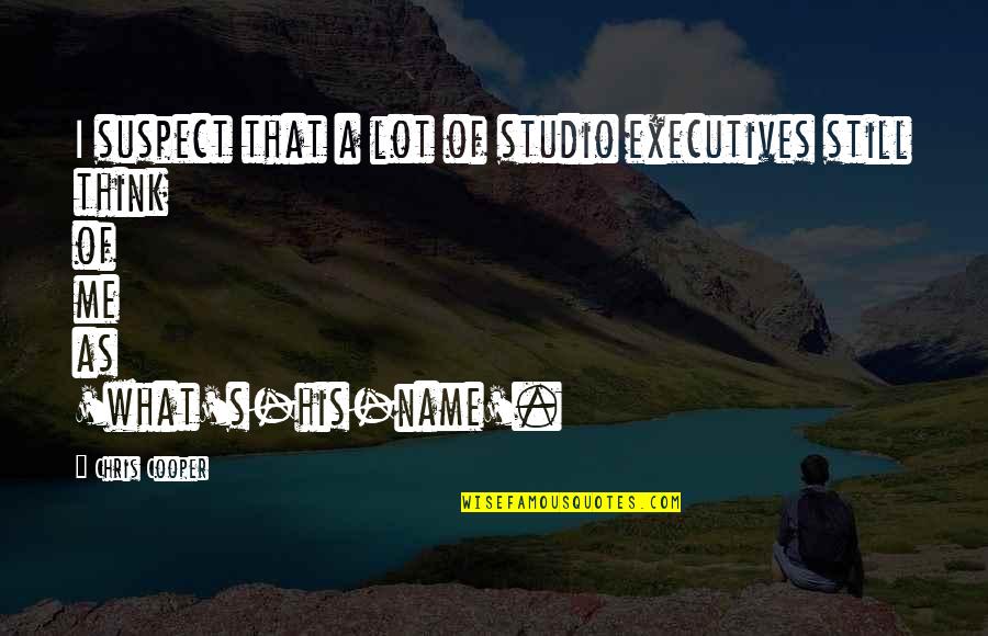 Noivas Do Mar Quotes By Chris Cooper: I suspect that a lot of studio executives