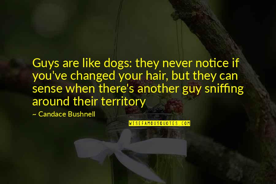 Nolan Ryan Pitching Quotes By Candace Bushnell: Guys are like dogs: they never notice if Nolan Ryan Pitching Quotes By Candace Bushnell: Guys are like dogs: they never notice if