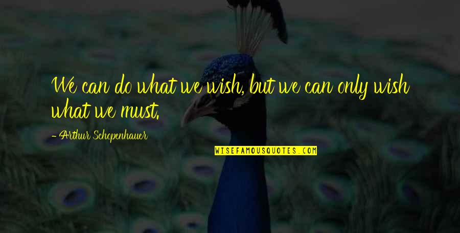 Nolette Quotes By Arthur Schopenhauer: We can do what we wish, but we