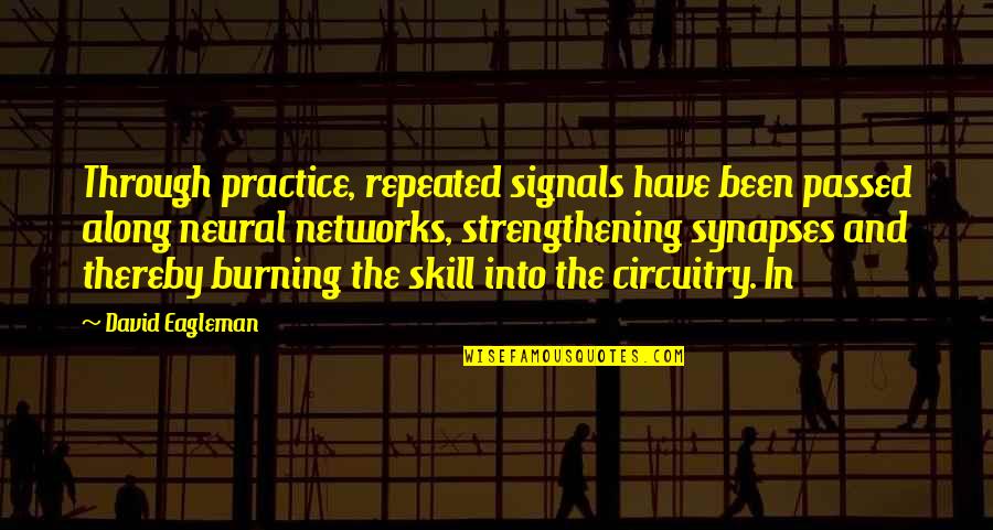Nomairi Quotes By David Eagleman: Through practice, repeated signals have been passed along Nomairi Quotes By David Eagleman: Through practice, repeated signals have been passed along