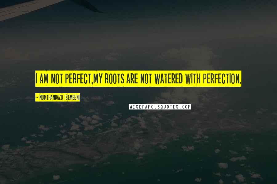 Nomthandazo Tsembeni quotes: I am not perfect,my roots are not watered with perfection.