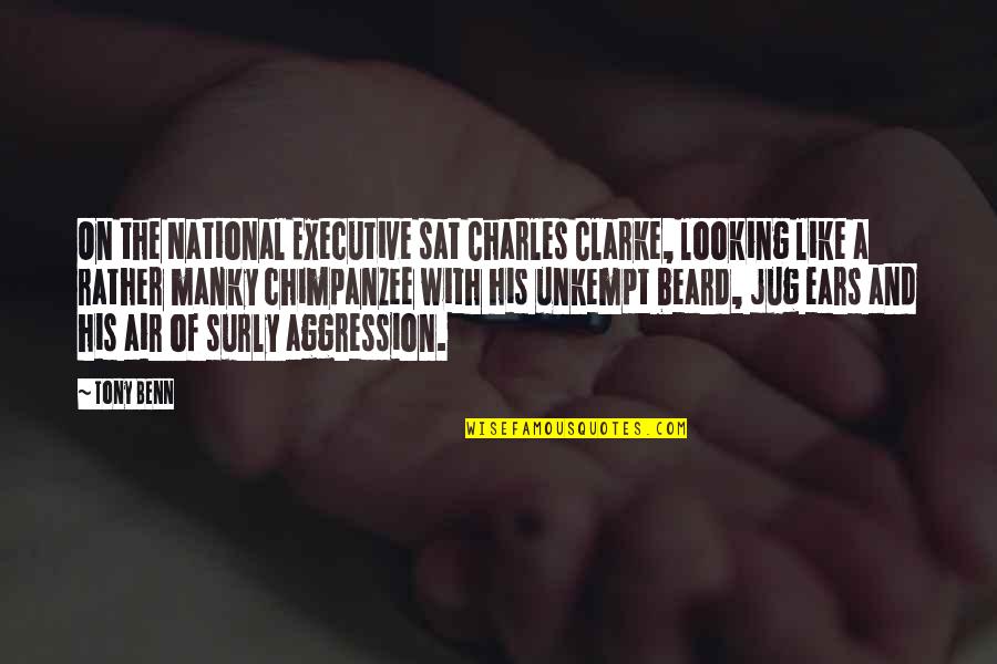 Non Aggression Quotes By Tony Benn: On the National Executive sat Charles Clarke, looking