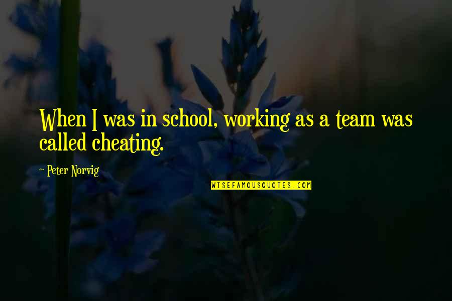 Non Cheesy Motivational Quotes By Peter Norvig: When I was in school, working as a