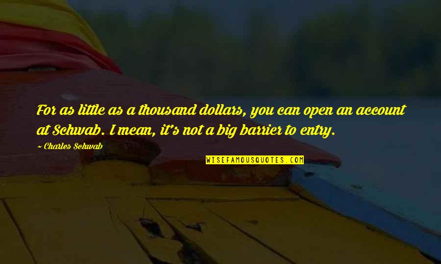 Non Communicating Uterine Quotes By Charles Schwab: For as little as a thousand dollars, you
