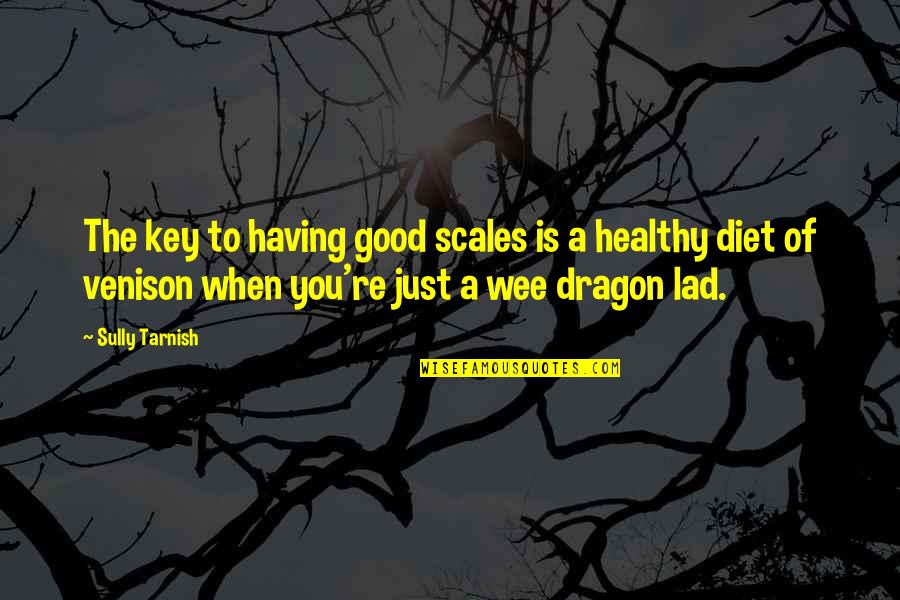 Non Diet Quotes By Sully Tarnish: The key to having good scales is a