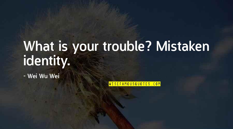 Non Dualistic Designs Quotes By Wei Wu Wei: What is your trouble? Mistaken identity.