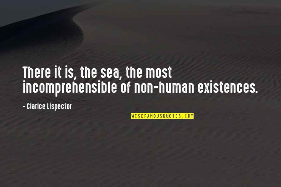 Non Existence Quotes By Clarice Lispector: There it is, the sea, the most incomprehensible