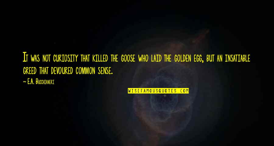 Non Greedy Quotes By E.A. Bucchianeri: It was not curiosity that killed the goose