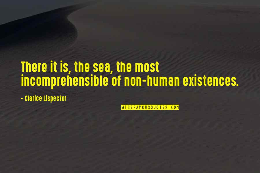 Non Humans Quotes By Clarice Lispector: There it is, the sea, the most incomprehensible Non Humans Quotes By Clarice Lispector: There it is, the sea, the most incomprehensible