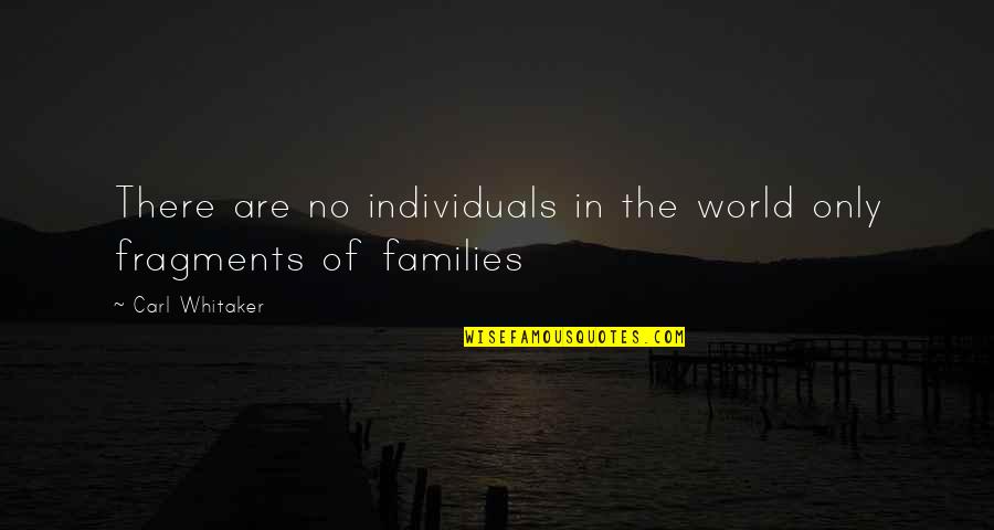 Non Individuals Quotes By Carl Whitaker: There are no individuals in the world only