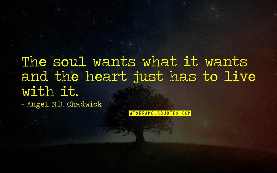 Non Inspirational Quotes By Angel M.B. Chadwick: The soul wants what it wants and the