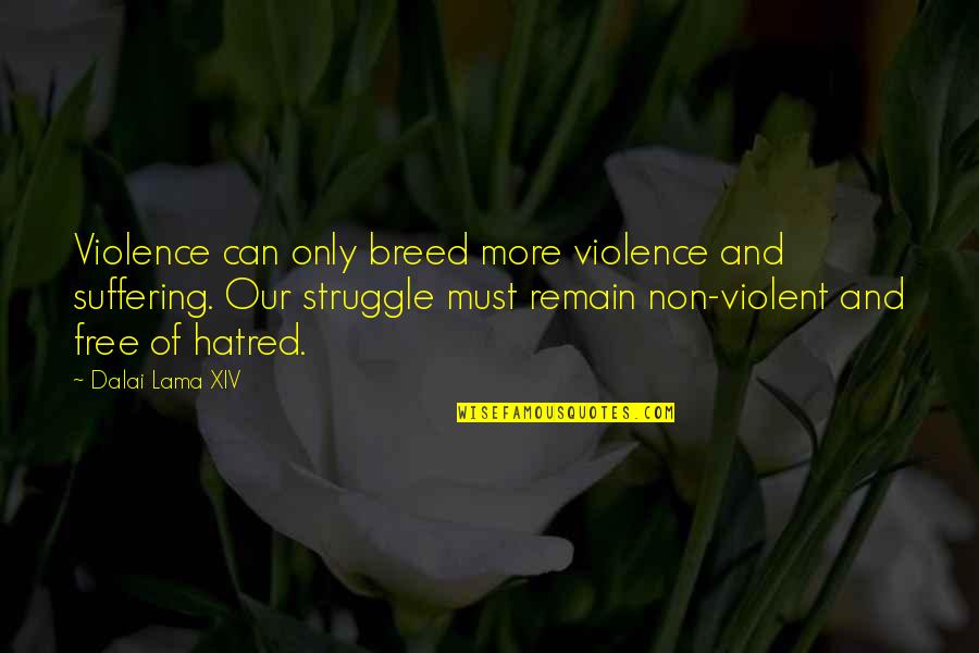 Non Inspirational Quotes By Dalai Lama XIV: Violence can only breed more violence and suffering.