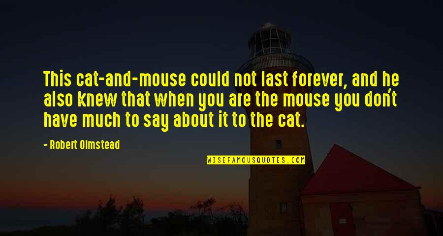 Non Judging Dentist Quotes By Robert Olmstead: This cat-and-mouse could not last forever, and he