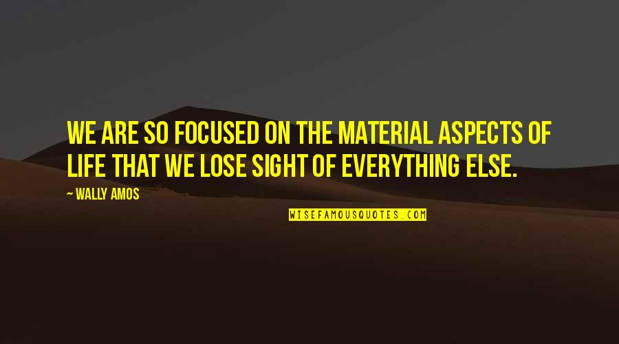 Non Material Aspects Quotes By Wally Amos: We are so focused on the material aspects