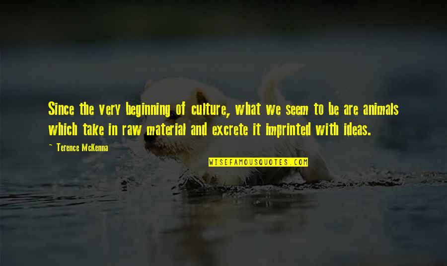 Non Material Culture Quotes By Terence McKenna: Since the very beginning of culture, what we