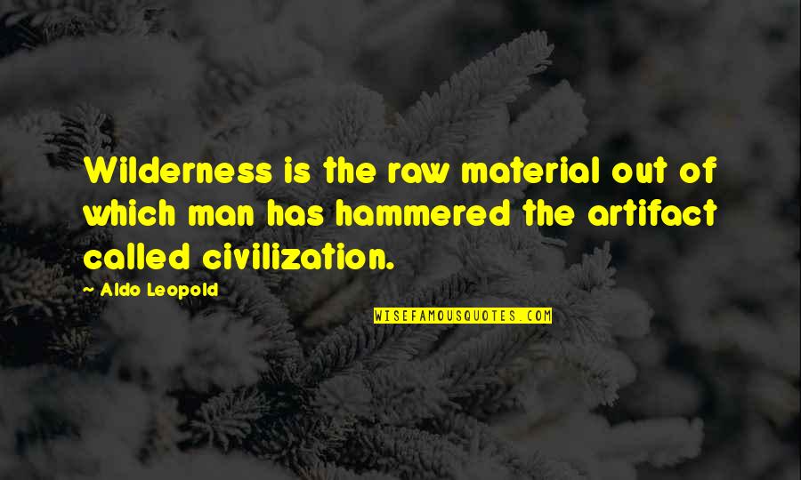 Non Material Quotes By Aldo Leopold: Wilderness is the raw material out of which