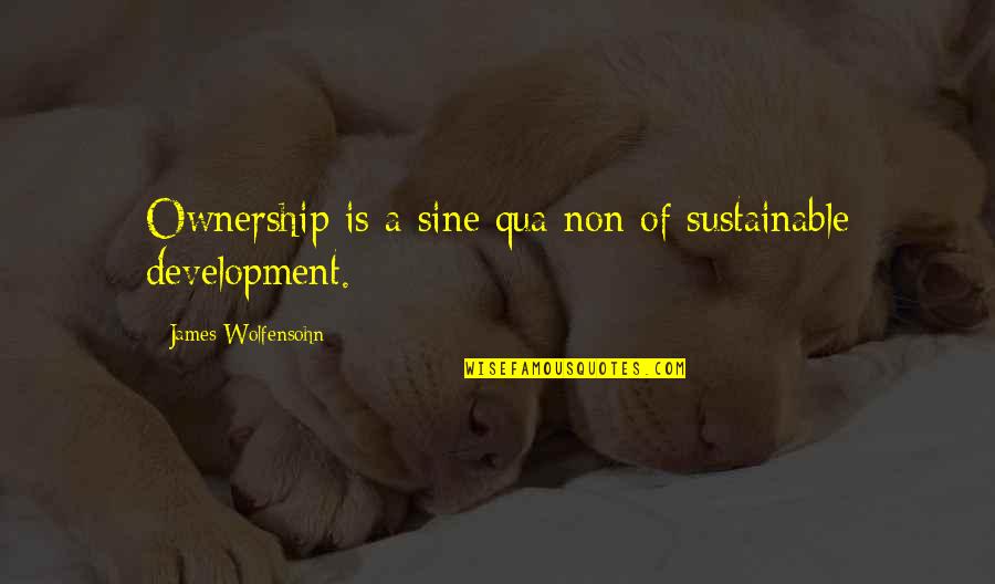 Non-materialism Quotes By James Wolfensohn: Ownership is a sine qua non of sustainable