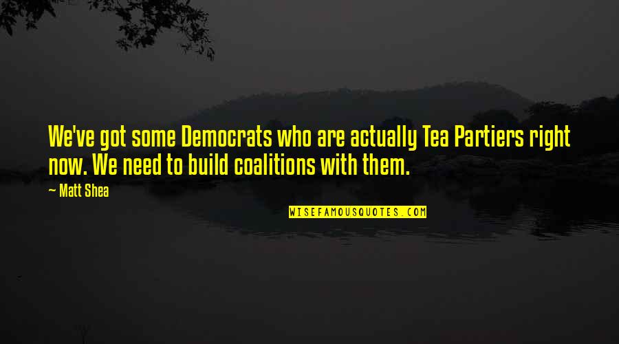 Non Poisonous Caterpillars Quotes By Matt Shea: We've got some Democrats who are actually Tea