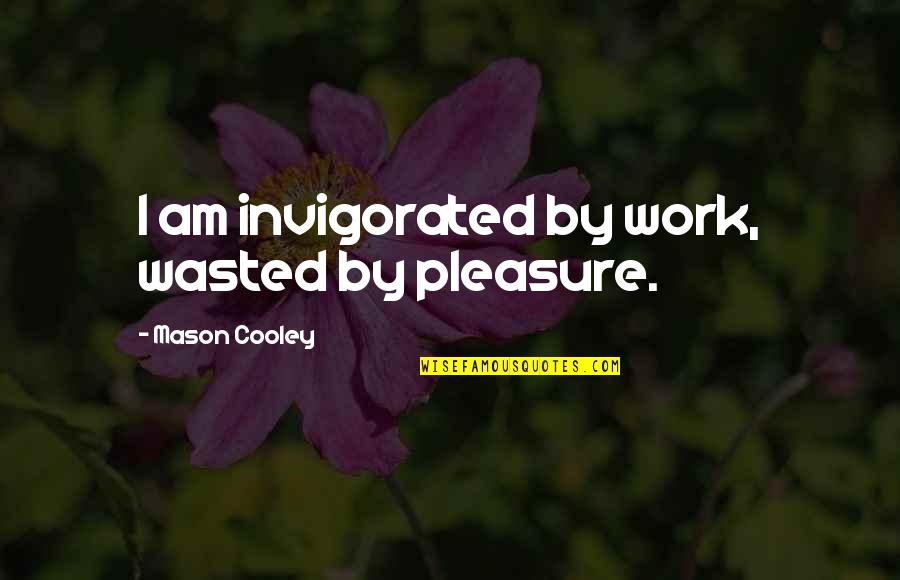 Non Polluting Vehicle Quotes By Mason Cooley: I am invigorated by work, wasted by pleasure.