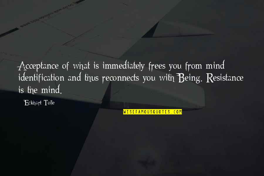 Non Resistance Quotes By Eckhart Tolle: Acceptance of what is immediately frees you from