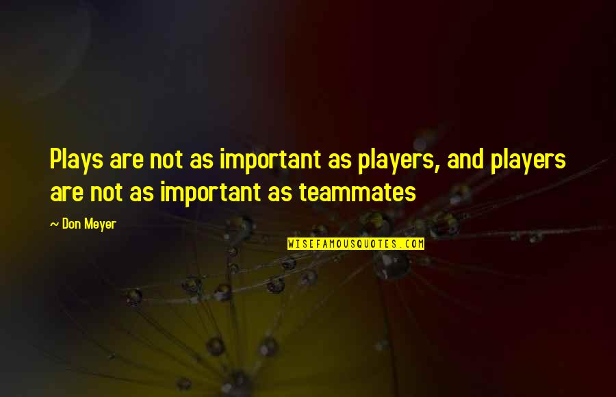 Non Romantic Valentines Day Quotes By Don Meyer: Plays are not as important as players, and