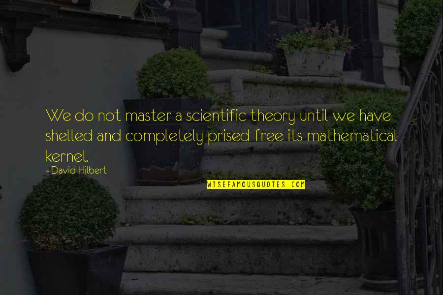 Non Scientific Theory Quotes By David Hilbert: We do not master a scientific theory until