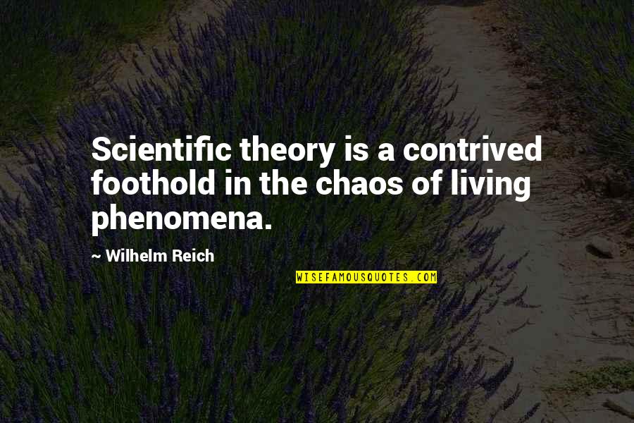 Non Scientific Theory Quotes By Wilhelm Reich: Scientific theory is a contrived foothold in the
