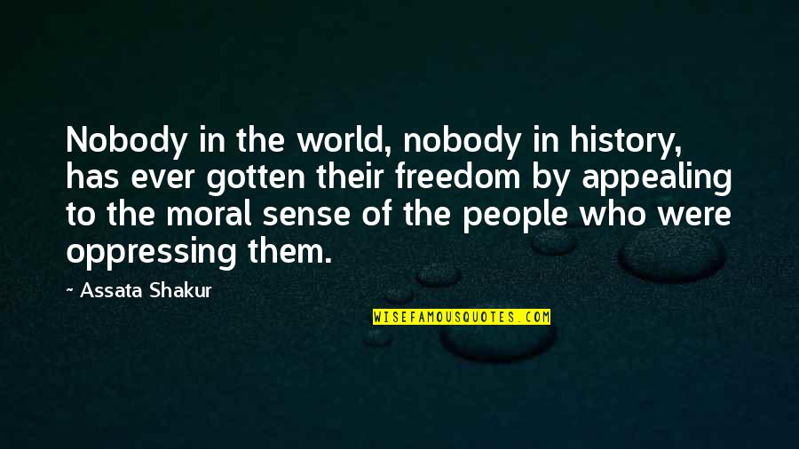 Non Sense People Quotes By Assata Shakur: Nobody in the world, nobody in history, has