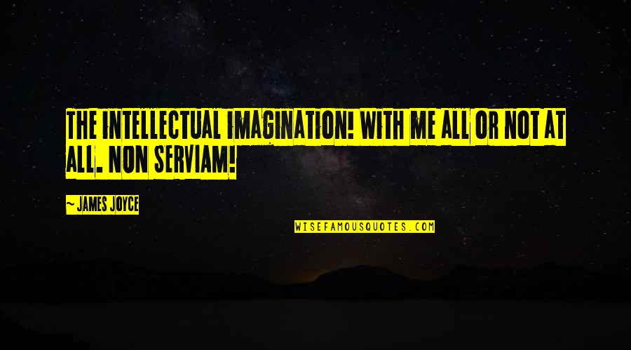 Non Serviam Quotes By James Joyce: The intellectual imagination! With me all or not