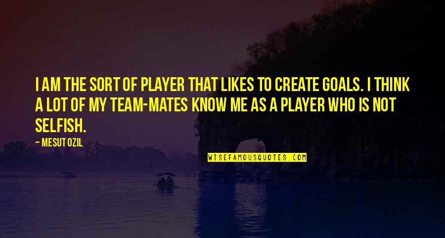 Non Team Player Quotes By Mesut Ozil: I am the sort of player that likes