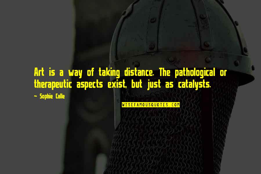 Non Therapeutic Quotes By Sophie Calle: Art is a way of taking distance. The