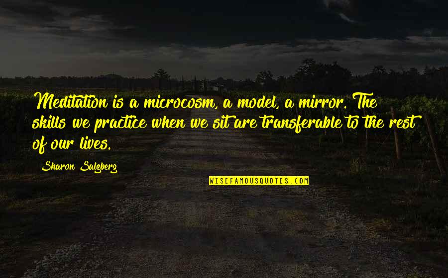 Non Transferable Skills Quotes By Sharon Salzberg: Meditation is a microcosm, a model, a mirror.