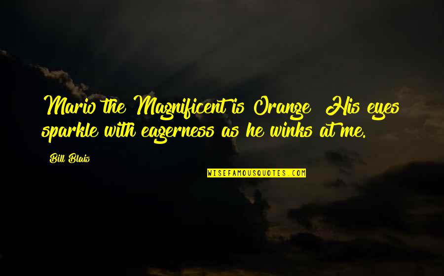 Nonagon Quotes By Bill Blais: Mario the Magnificent is Orange! His eyes sparkle