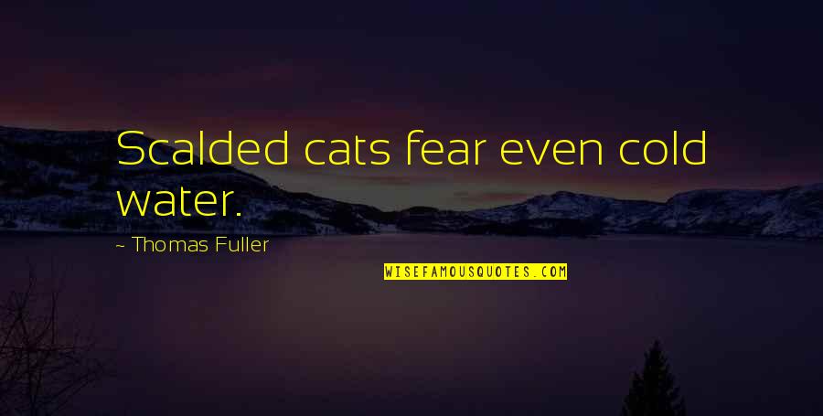 Nonagressor Quotes By Thomas Fuller: Scalded cats fear even cold water.